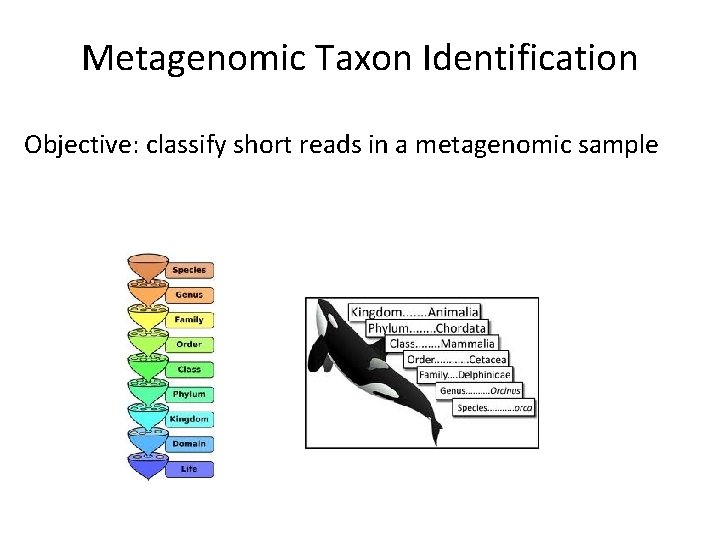 Metagenomic Taxon Identification Objective: classify short reads in a metagenomic sample 