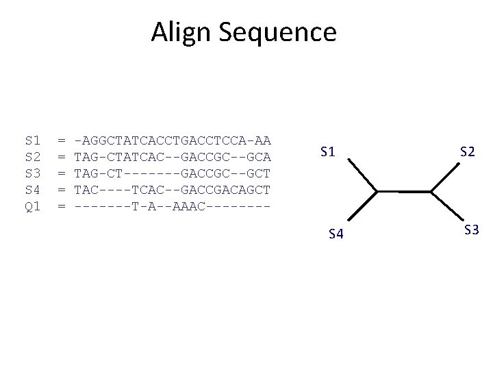 Align Sequence S 1 S 2 S 3 S 4 Q 1 = =