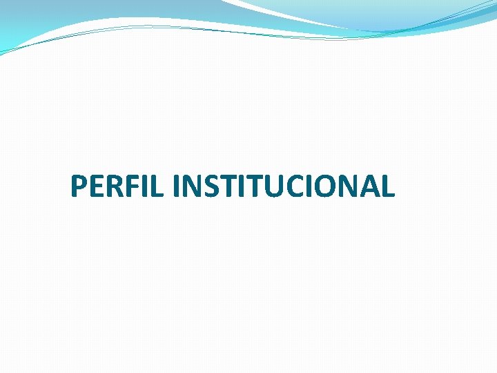 PERFIL INSTITUCIONAL 