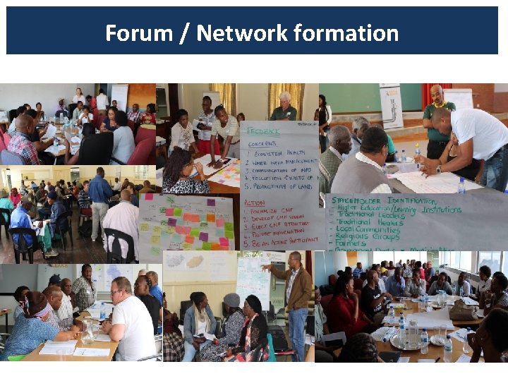 Forum / Network formation 