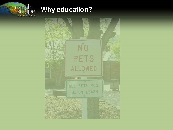 Why education? 