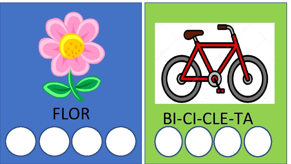 FLOR BI-CI-CLE-TA 