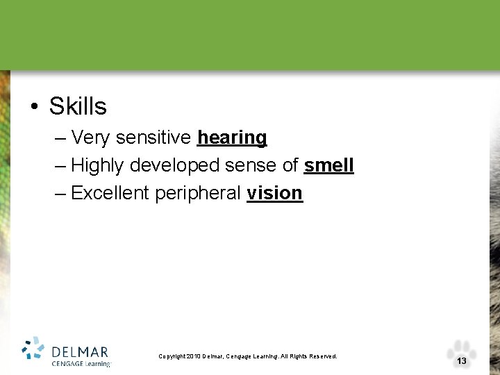  • Skills – Very sensitive hearing – Highly developed sense of smell –
