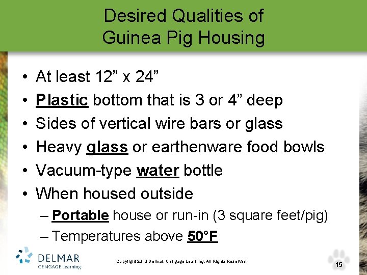 Desired Qualities of Guinea Pig Housing • • • At least 12” x 24”