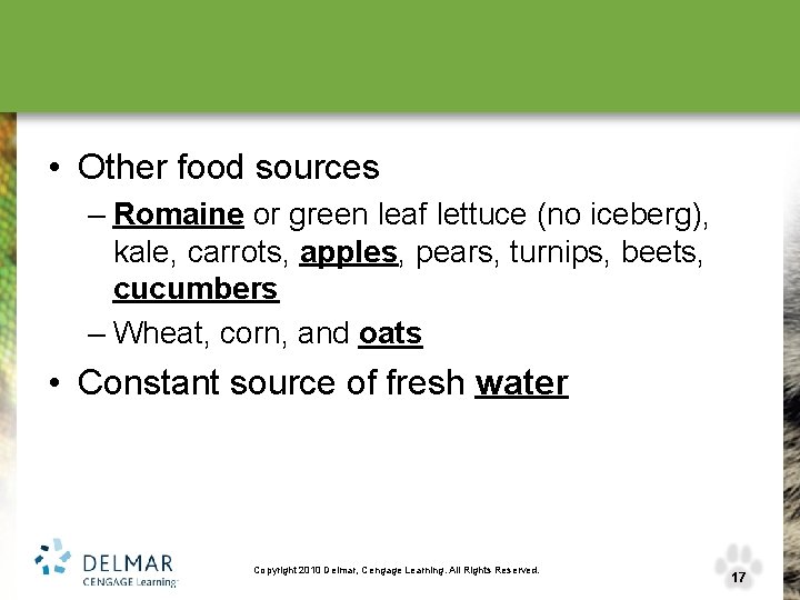  • Other food sources – Romaine or green leaf lettuce (no iceberg), kale,