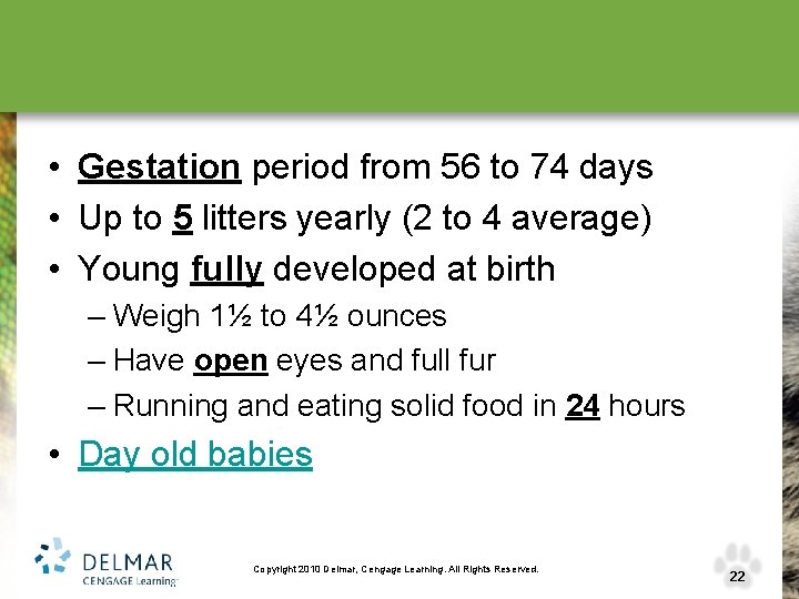  • Gestation period from 56 to 74 days • Up to 5 litters