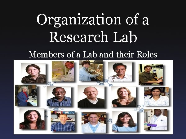 Organization of a Research Lab Members of a Lab and their Roles 