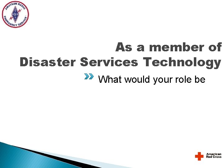 As a member of Disaster Services Technology What would your role be As a member of Disaster Services Technology What would your role be