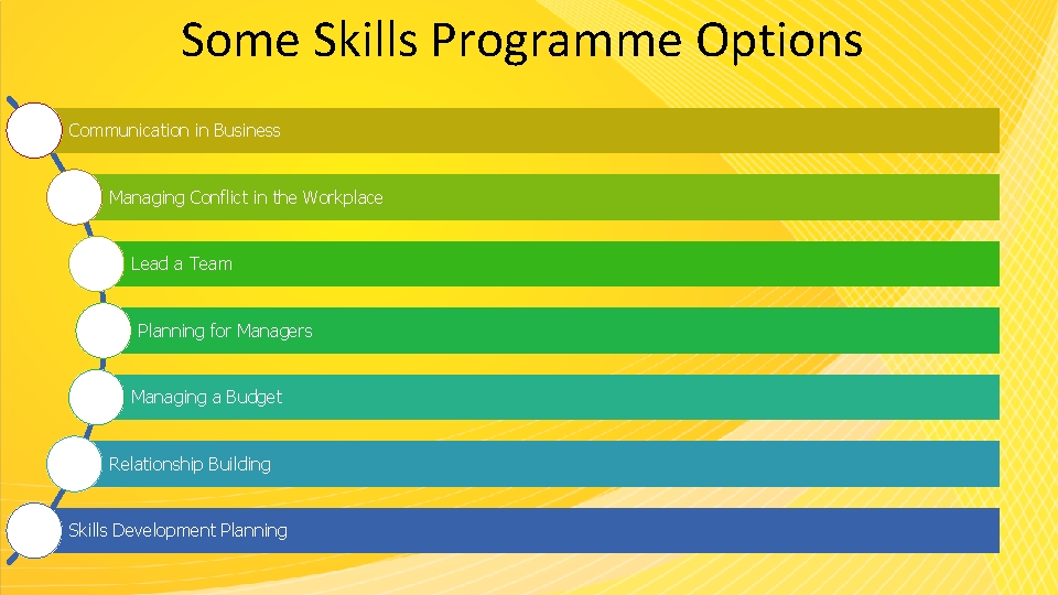 Some Skills Programme Options Communication in Business Managing Conflict in the Workplace Lead a