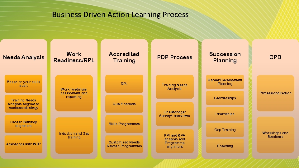 Business Driven Action Learning Process Needs Analysis Based on your skills audit Training Needs