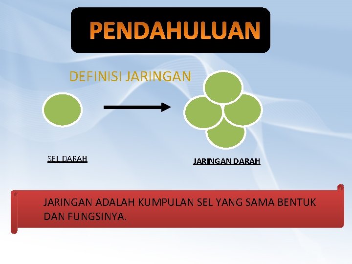 DEFINISI JARINGAN SEL DARAH JARINGAN ADALAH KUMPULAN SEL YANG SAMA BENTUK DAN FUNGSINYA. 