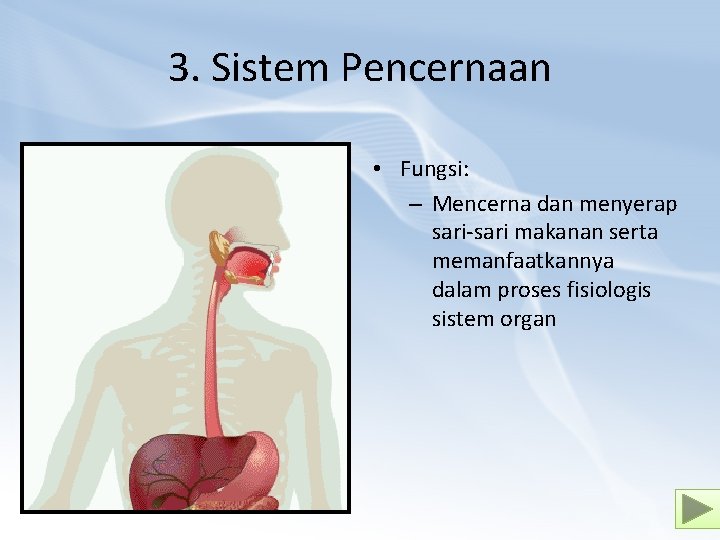 3. Sistem Pencernaan • Fungsi: – Mencerna dan menyerap sari-sari makanan serta memanfaatkannya dalam