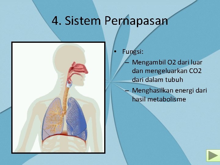 4. Sistem Pernapasan • Fungsi: – Mengambil O 2 dari luar dan mengeluarkan CO