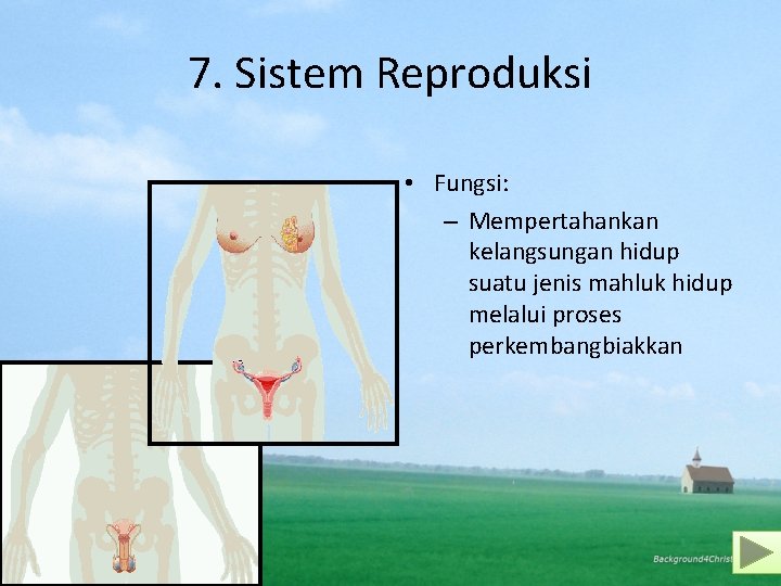 7. Sistem Reproduksi • Fungsi: – Mempertahankan kelangsungan hidup suatu jenis mahluk hidup melalui