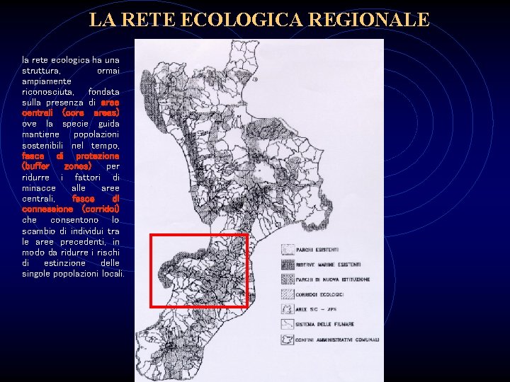 LA RETE ECOLOGICA REGIONALE la rete ecologica ha una struttura, ormai ampiamente riconosciuta, fondata