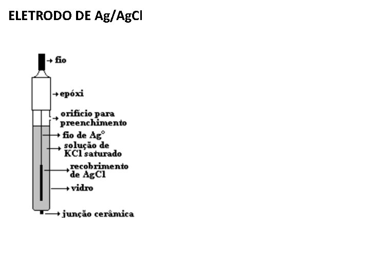 ELETRODO DE Ag/Ag. Cl 