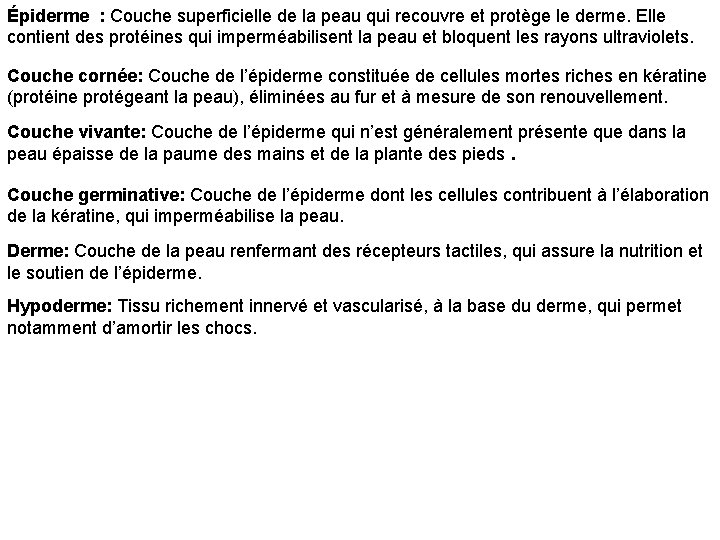 Épiderme : Couche superficielle de la peau qui recouvre et protège le derme. Elle