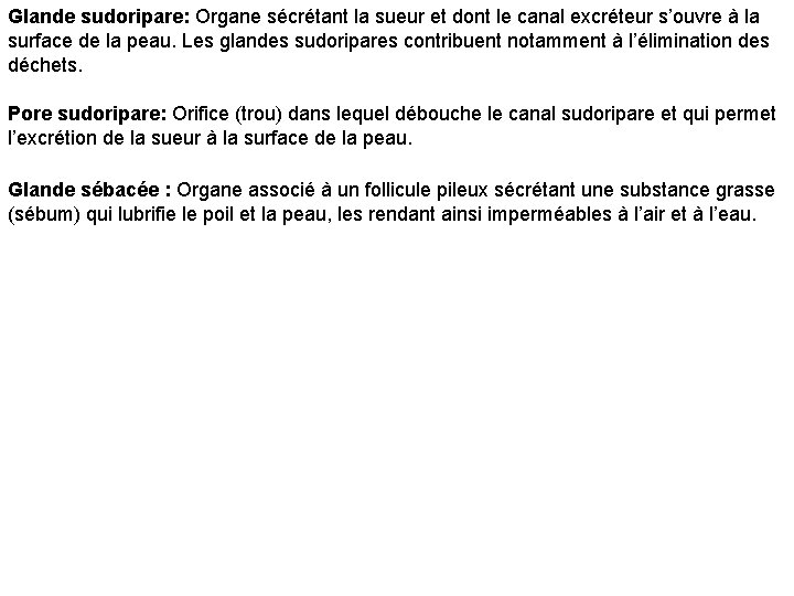 Glande sudoripare: Organe sécrétant la sueur et dont le canal excréteur s’ouvre à la