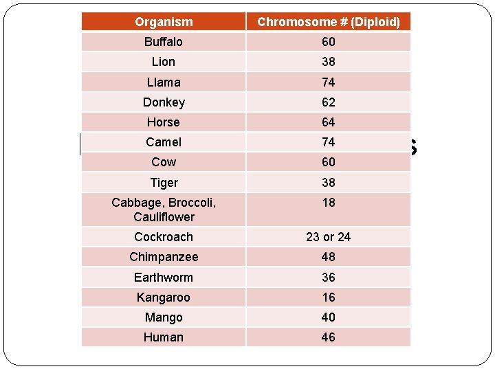 Organism Chromosome # (Diploid) Buffalo 60 Lion 38 Llama 74 Donkey 62 Horse 64