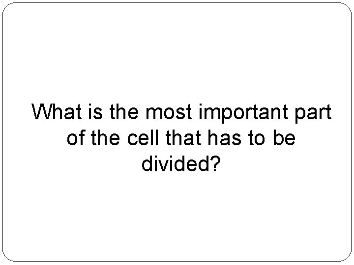 What is the most important part of the cell that has to be divided?