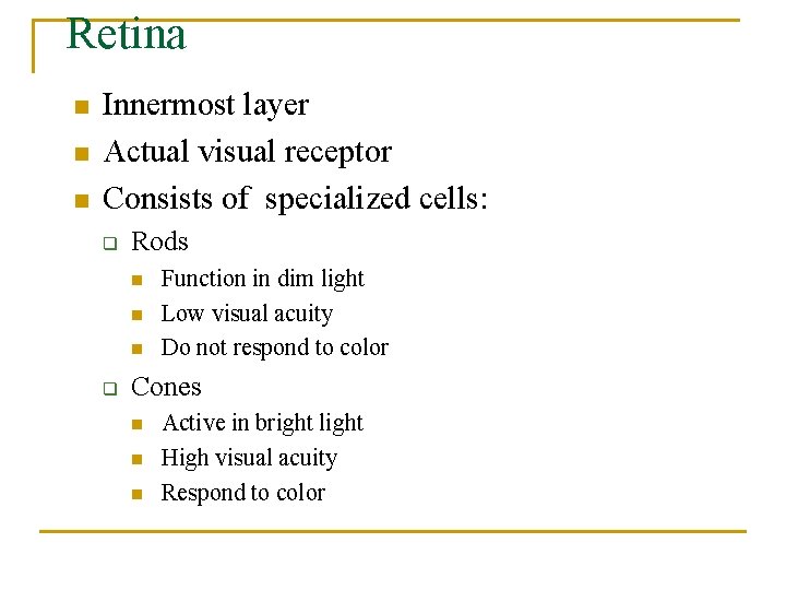 Retina n n n Innermost layer Actual visual receptor Consists of specialized cells: q