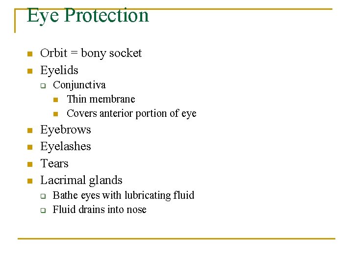 Eye Protection n n Orbit = bony socket Eyelids q n n Conjunctiva n