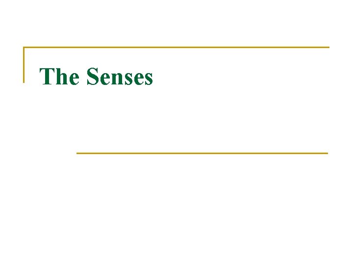 The Senses 