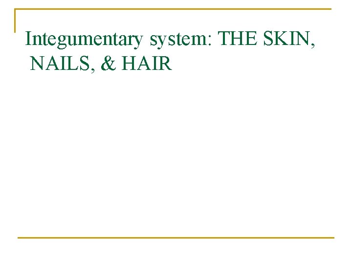 Integumentary system: THE SKIN, NAILS, & HAIR 