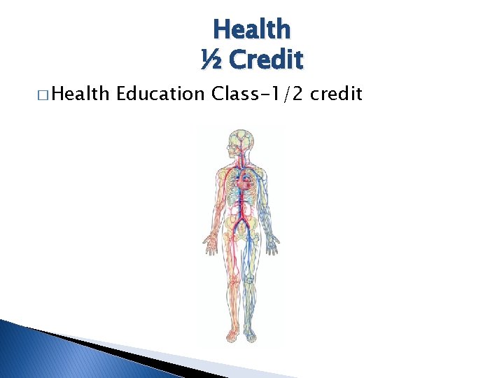 � Health ½ Credit Education Class-1/2 credit 