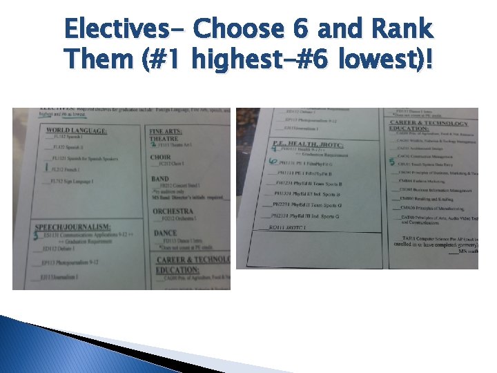 Electives- Choose 6 and Rank Them (#1 highest-#6 lowest)! 