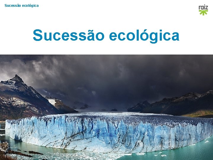Sucessão ecológica Exploratório 8 │Carlos D. Pereira • Gabriela Pintão • Joana C. Ramos