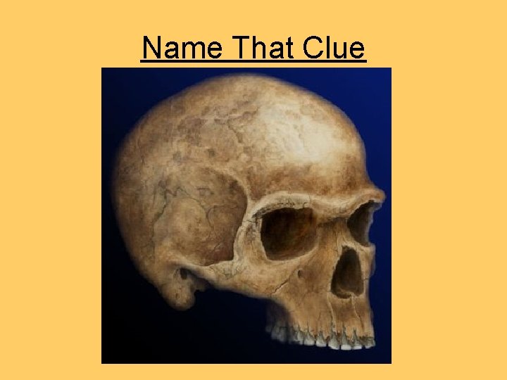 Name That Clue Name That Clue