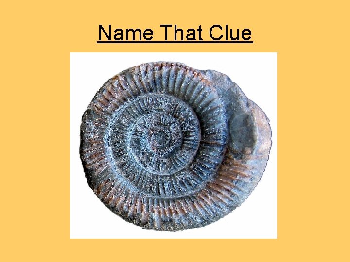 Name That Clue Name That Clue