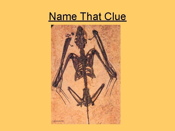 Name That Clue Name That Clue