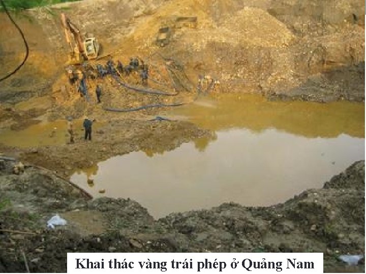 Khai thác vàng trái phép ở Quảng Nam 