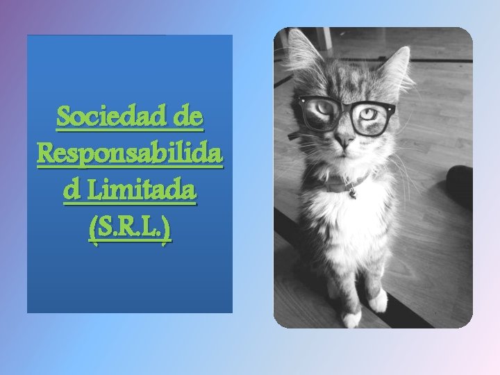 Sociedad de Responsabilida d Limitada (S. R. L. ) 