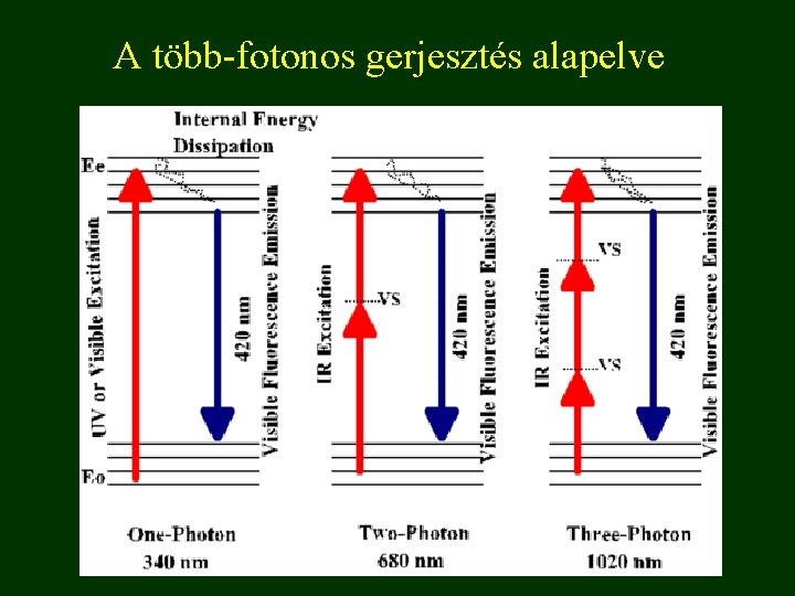 A több-fotonos gerjesztés alapelve 