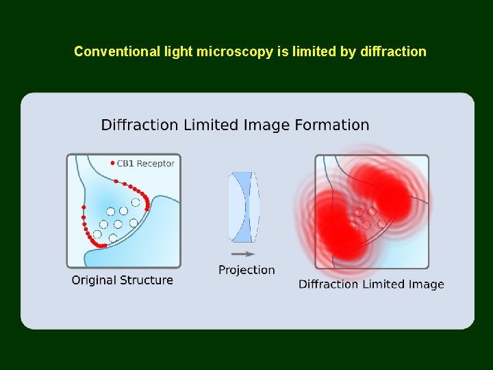 Conventional light microscopy is limited by diffraction 