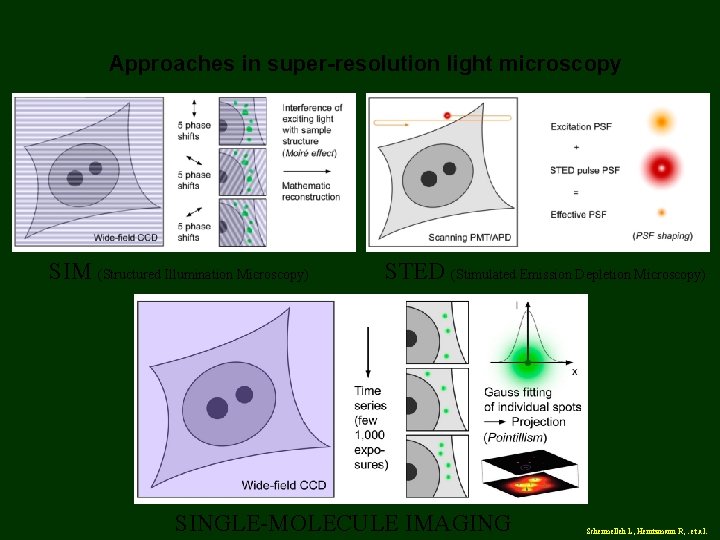 Approaches in super-resolution light microscopy SIM (Structured Illumination Microscopy) STED (Stimulated Emission Depletion Microscopy)
