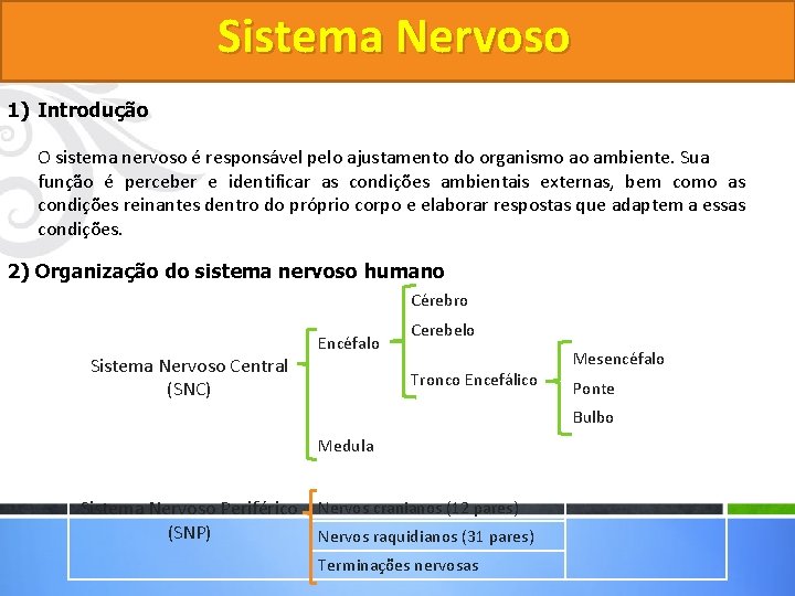 Sistema Nervoso 1) Introdução O sistema nervoso é responsável pelo ajustamento do organismo ao