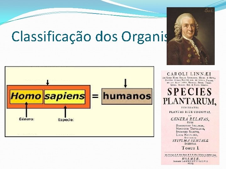 Classificação dos Organismos 