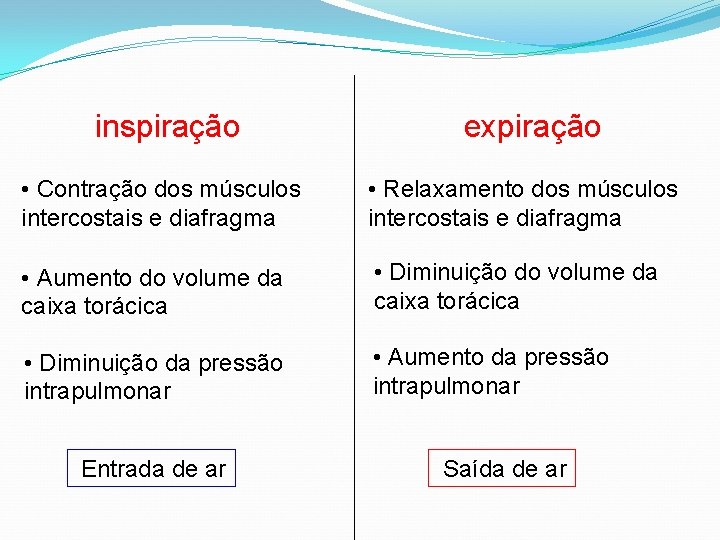 inspiração expiração • Contração dos músculos intercostais e diafragma • Relaxamento dos músculos intercostais