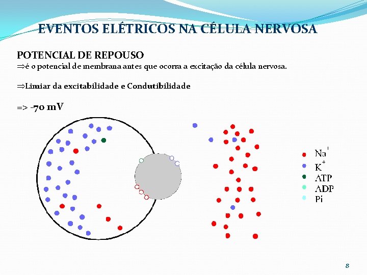 EVENTOS ELÉTRICOS NA CÉLULA NERVOSA POTENCIAL DE REPOUSO Þé o potencial de membrana antes