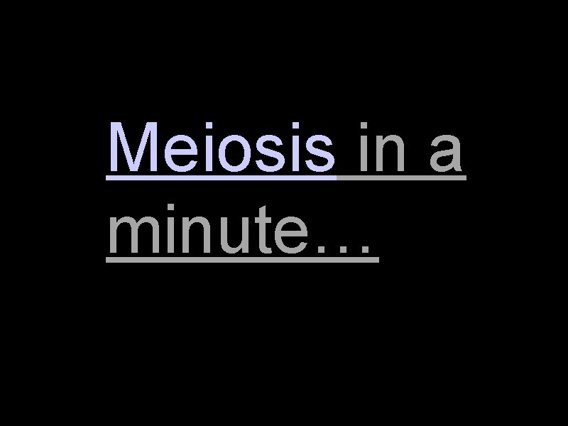Meiosis in a minute… Meiosis in a minute…
