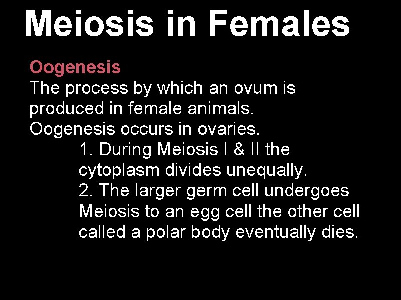 Meiosis in Females Oogenesis The process by which an ovum is produced in female Meiosis in Females Oogenesis The process by which an ovum is produced in female