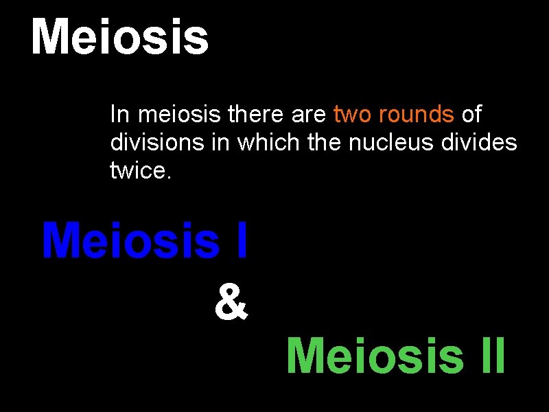 Meiosis In meiosis there are two rounds of divisions in which the nucleus divides Meiosis In meiosis there are two rounds of divisions in which the nucleus divides