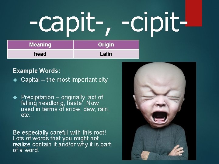 -capit-, -cipit. Meaning Origin head Latin Example Words: Capital – the most important city