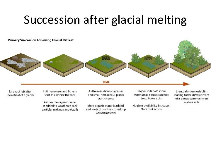Succession after glacial melting 