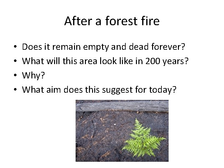 After a forest fire • • Does it remain empty and dead forever? What
