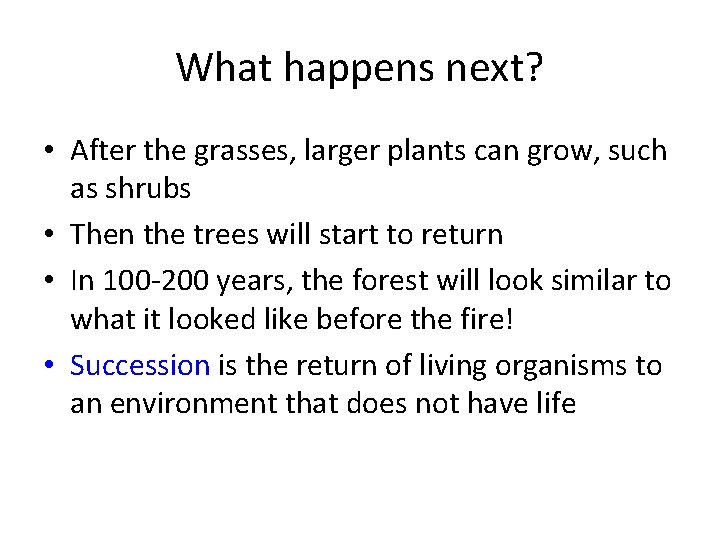 What happens next? • After the grasses, larger plants can grow, such as shrubs